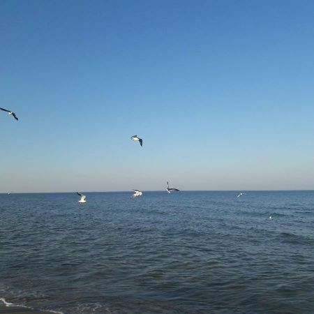 Kuestenwilla Fewo Usedom Цинновиц Экстерьер фото